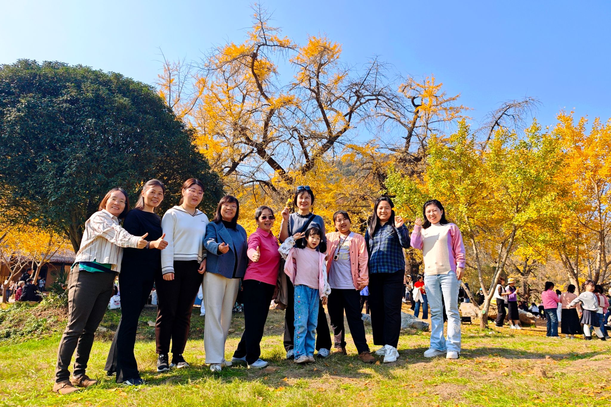 百家乐平台推荐